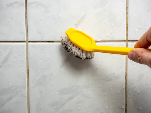 Best Toxic Mold Removal  in Cotulla, TX