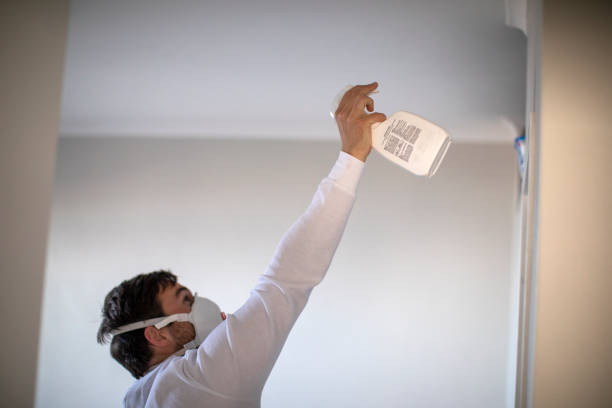 Best Crawl Space Mold Removal  in Cotulla, TX