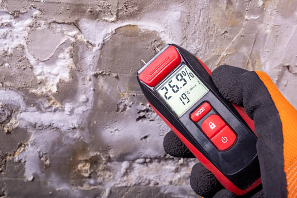 Best Certified Mold Removal  in Cotulla, TX