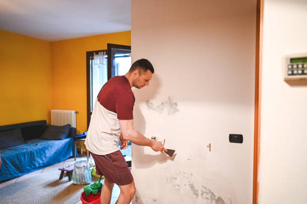 Best Mold Damage Repair  in Cotulla, TX